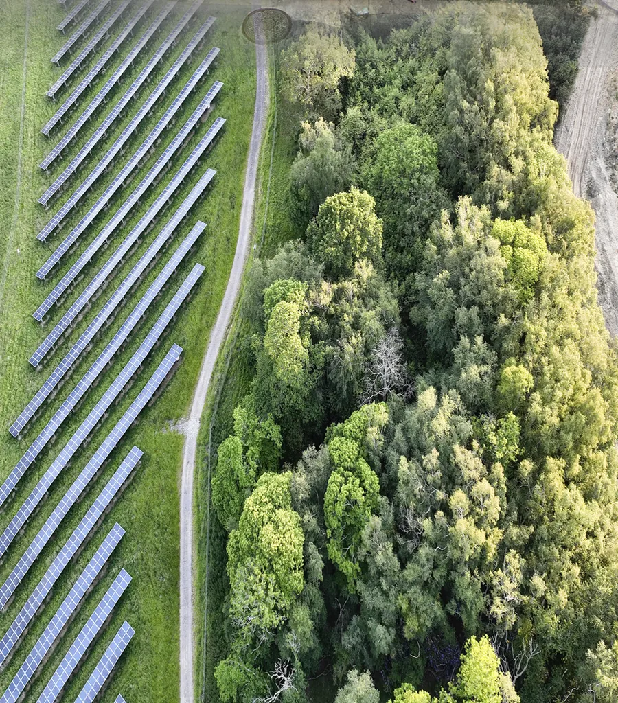 Vista aérea de usina solar cercada por vegetação